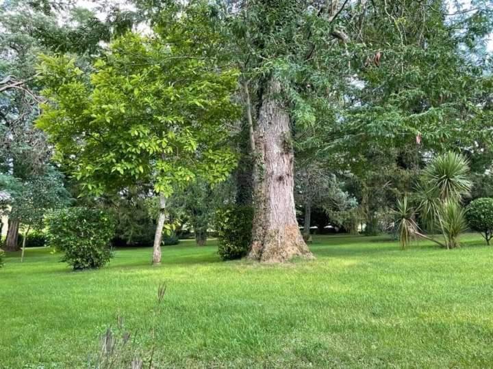 Allas-Bocage Les Demeures De La Laigne Bed & Breakfast エクステリア 写真