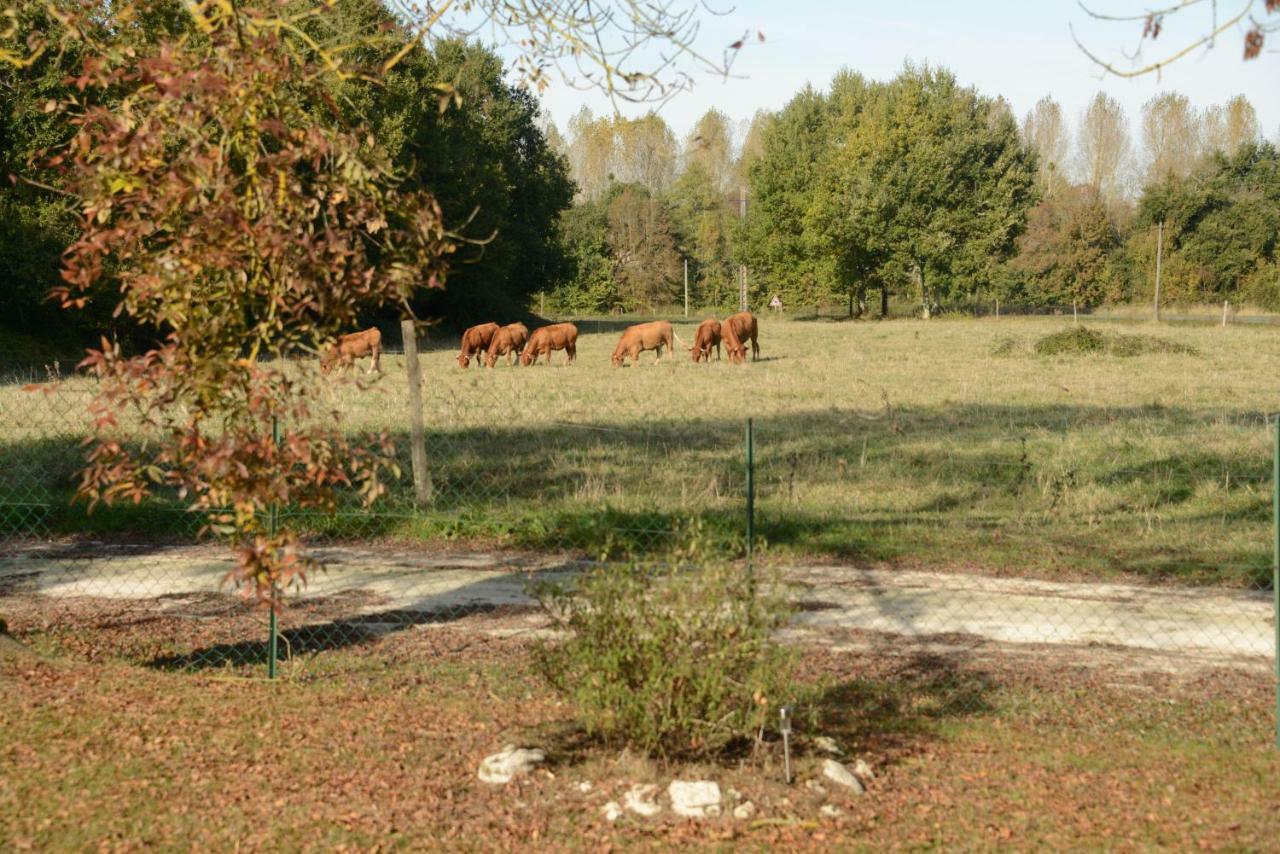 Allas-Bocage Les Demeures De La Laigne Bed & Breakfast エクステリア 写真