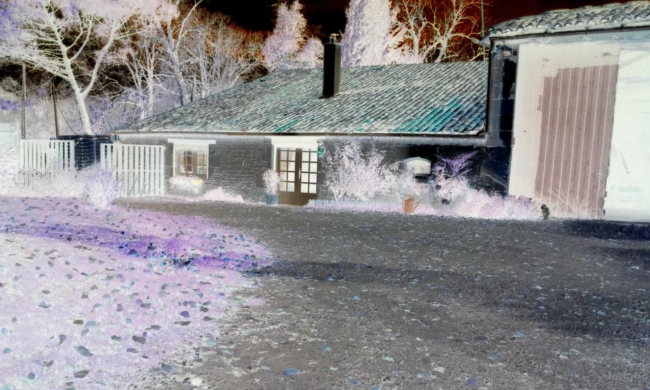 Allas-Bocage Les Demeures De La Laigne Bed & Breakfast エクステリア 写真